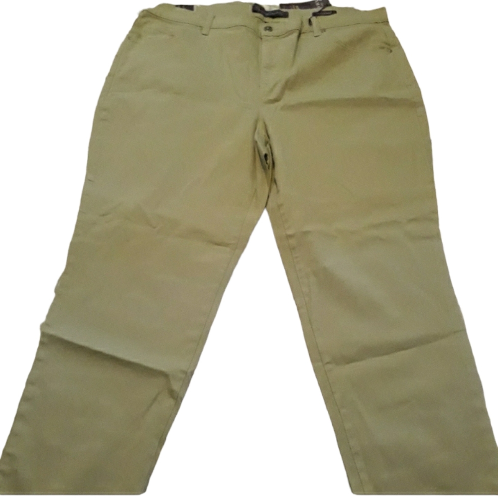 Gloria Vanderbilt Women’s plus size 18w light green Amanda pants.